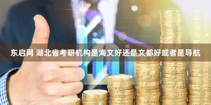 东启网 湖北省考研机构是海文好还是文都好或者是导航